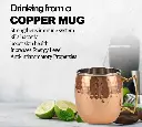Moscowmulecoppermug_02.webp