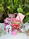 Chic_Cheer_02.webp