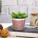 Artificial_Succulent_Ceramic_Pot_02.webp