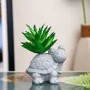 Artificial Succulent Turtle