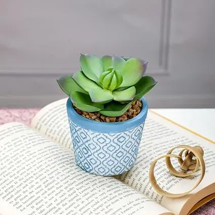 Artificial Succulent Ceramic Pot