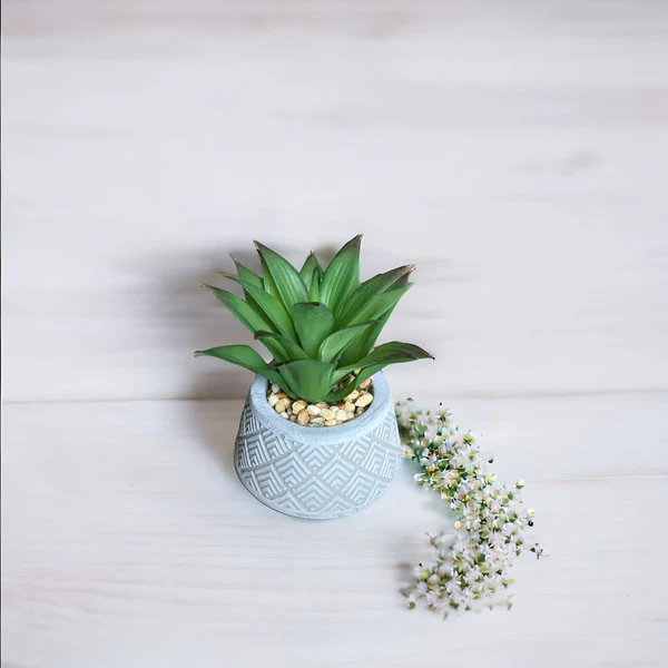 Artificial Succulent Circular